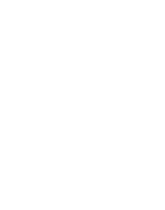 NOESIS Hotel Advisors