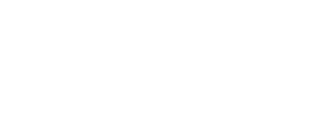 Aromatherapy International Limited logo